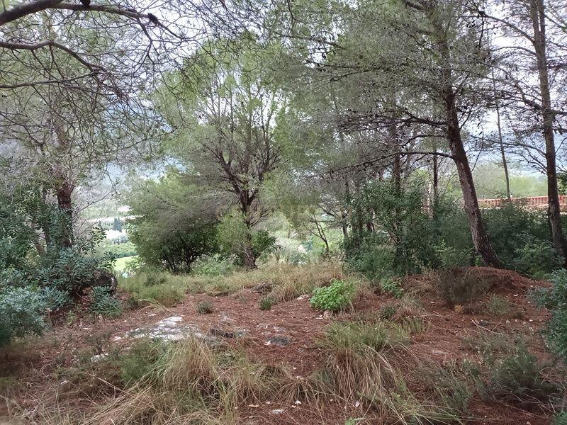 Terreno - Image 8