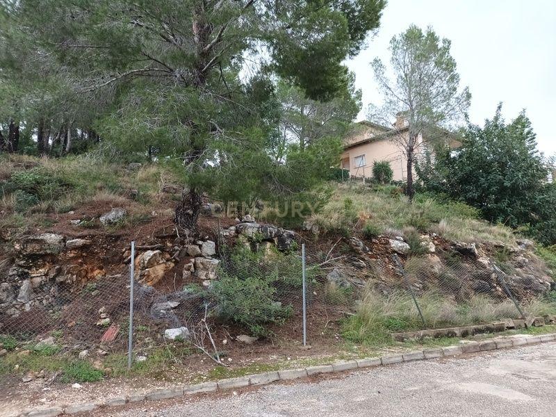 Terreno - Image 11