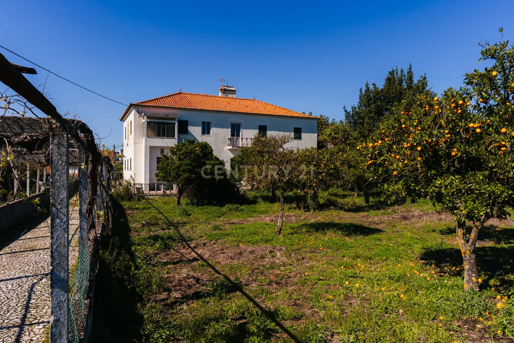 Propriedade com 11 divisões para recuperação em Estremoz com uma área total de 6185 m2 - Image 1