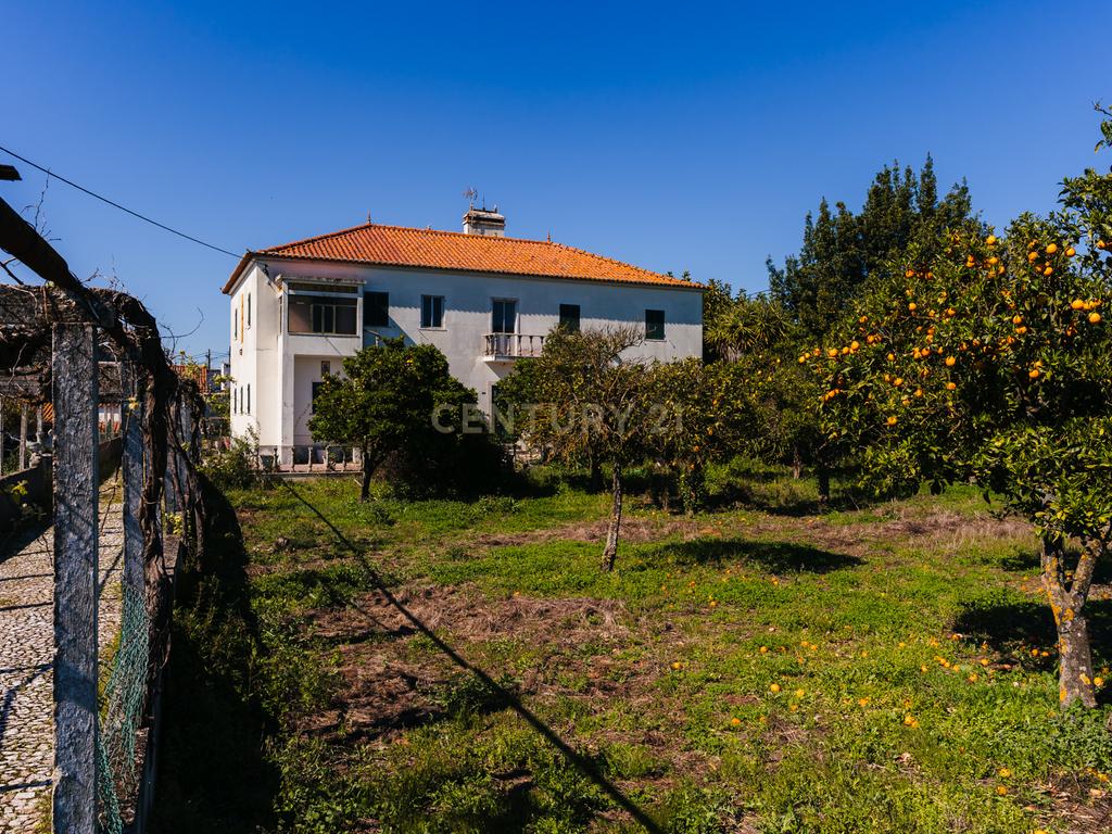 Propriedade com 11 divisões para recuperação em Estremoz com uma área total de 6185 m2 - Image 1