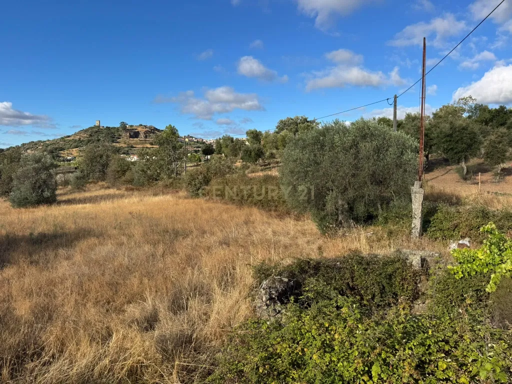 Terreno Rústico, com construção rural em Penamacor, Castelo Branco - Image 11