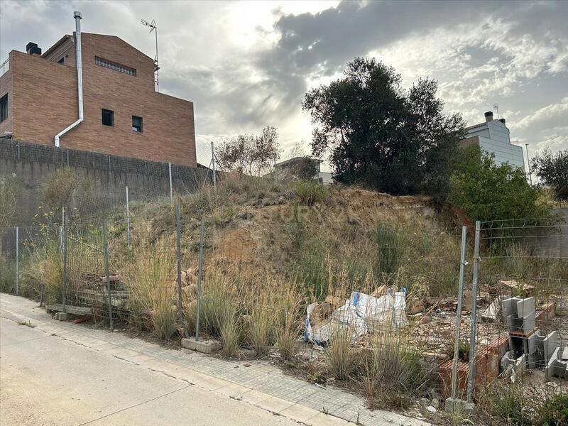 Terreno - Image 6
