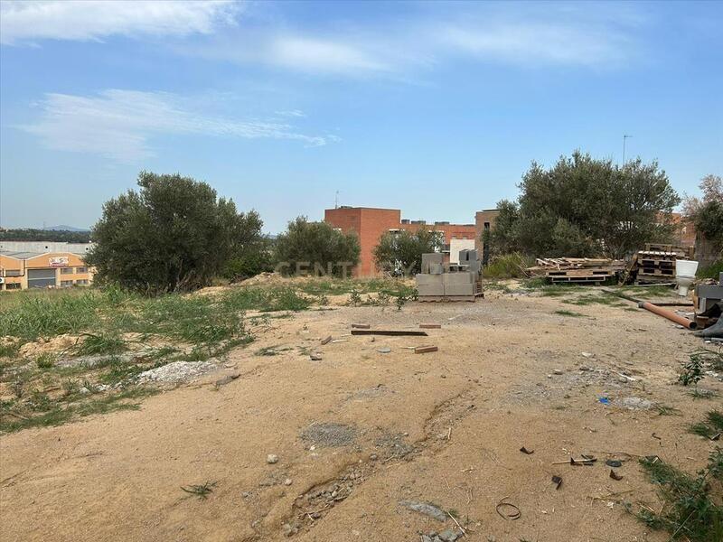 Terreno - Image 4