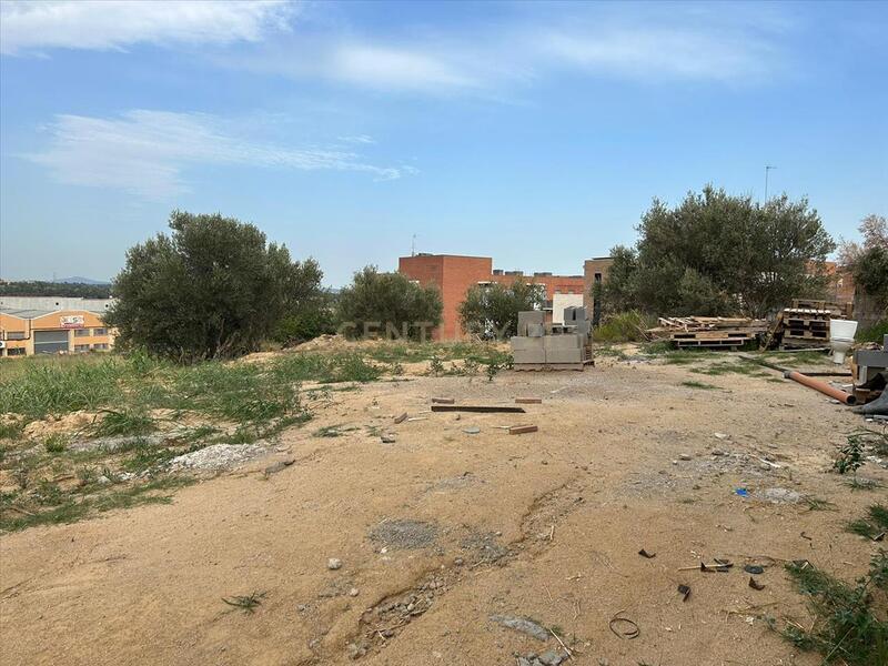 Terreno - Image 4