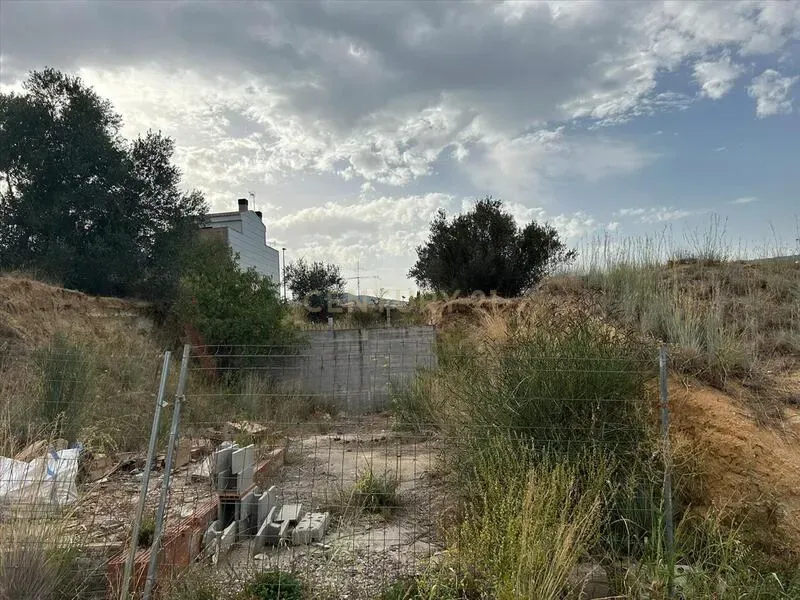 Terreno - Image 7