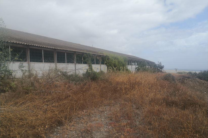Terreno - Image 5