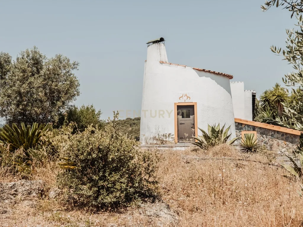 Herdade de Charme em Monte Redondo - Avis - Image 76