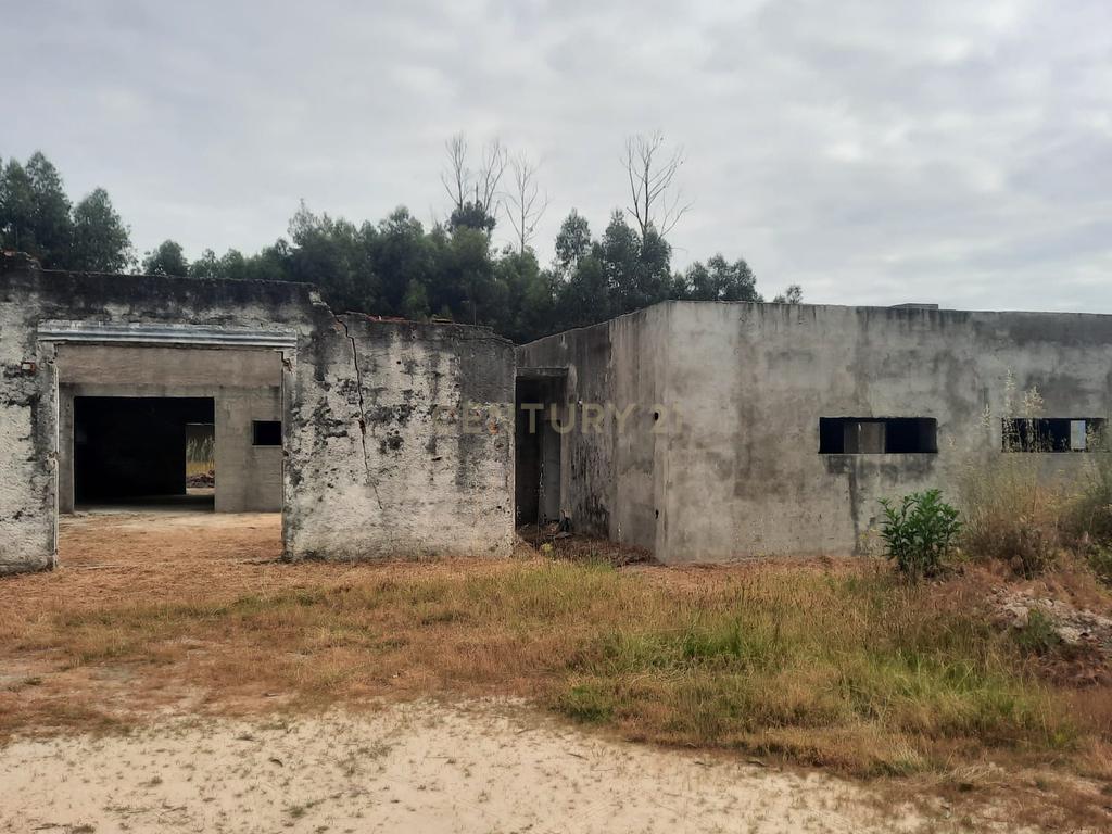 Casa moderna T3  e terreno rústico perto de Oliveira de Frades e Vouzela, preço total 125.000.00 euros! - Image 3