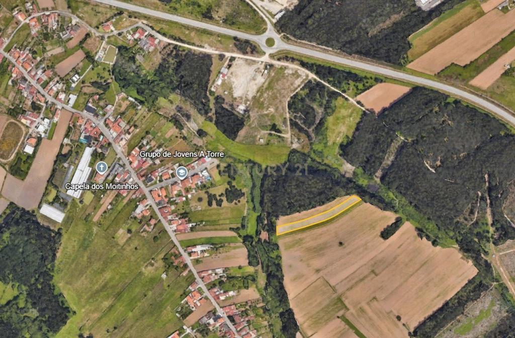 Terreno Agrícola em Ílhavo com Vista Campestre - Image 4