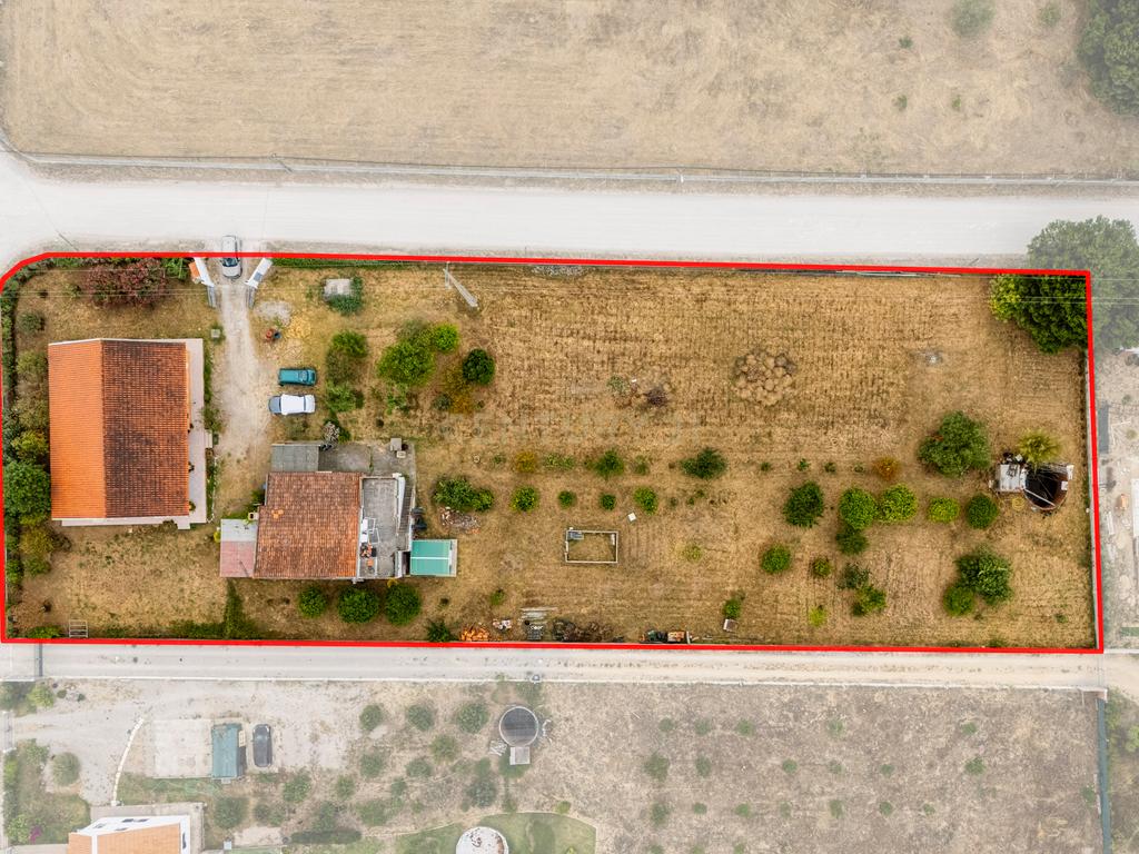 Moradia térrea T3 impecável num terreno de 3954m2 e anexo em Azeitão - Image 6