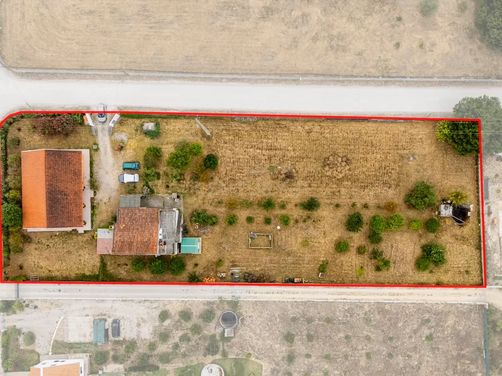 Moradia térrea T3 impecável num terreno de 3954m2 e anexo em Azeitão - Image 6