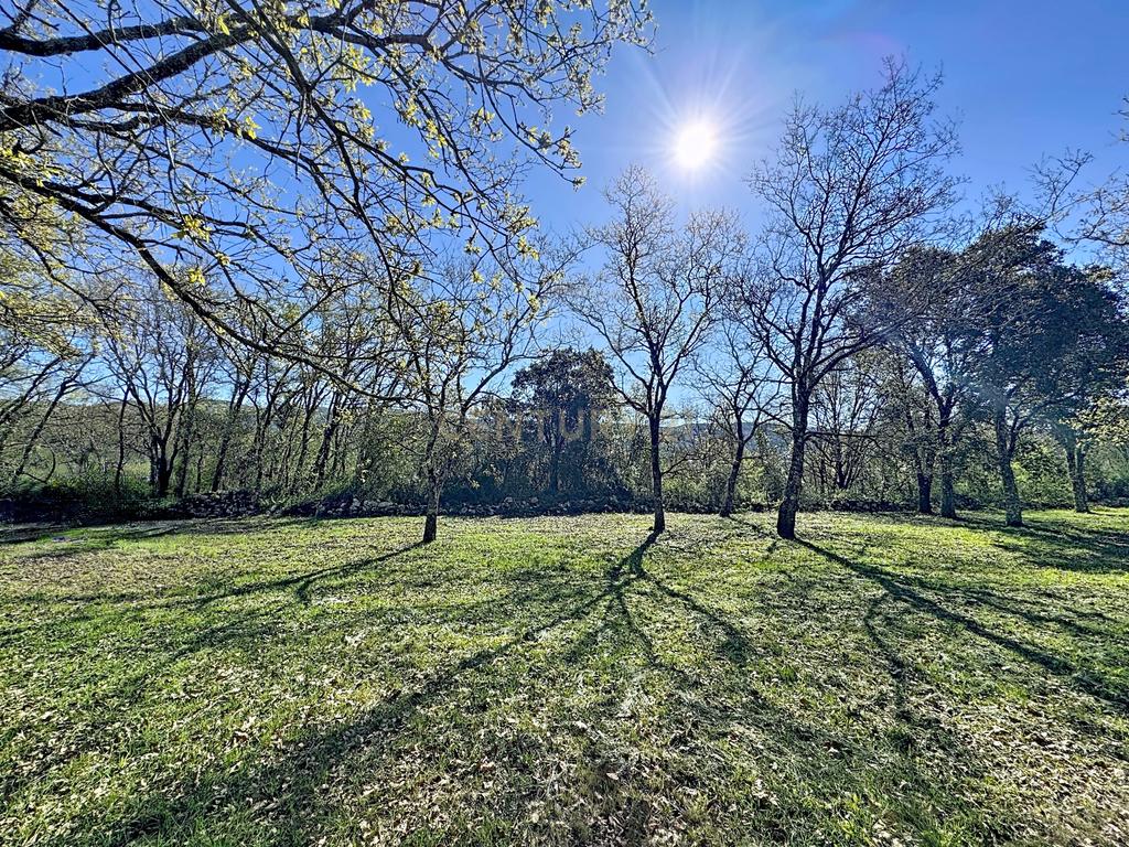 O lugar ideal para construir em plena natureza – Alcobaça - Image 24