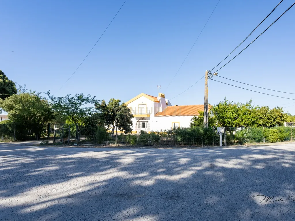 Quinta com Moradia T9 - Santo Isidro de Pegões - Montijo - Image 23