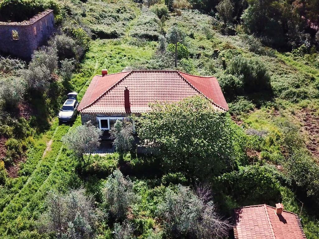Propriedade Exclusiva com Quase 13 Hectares em Monchique, Palheiros - Image 32
