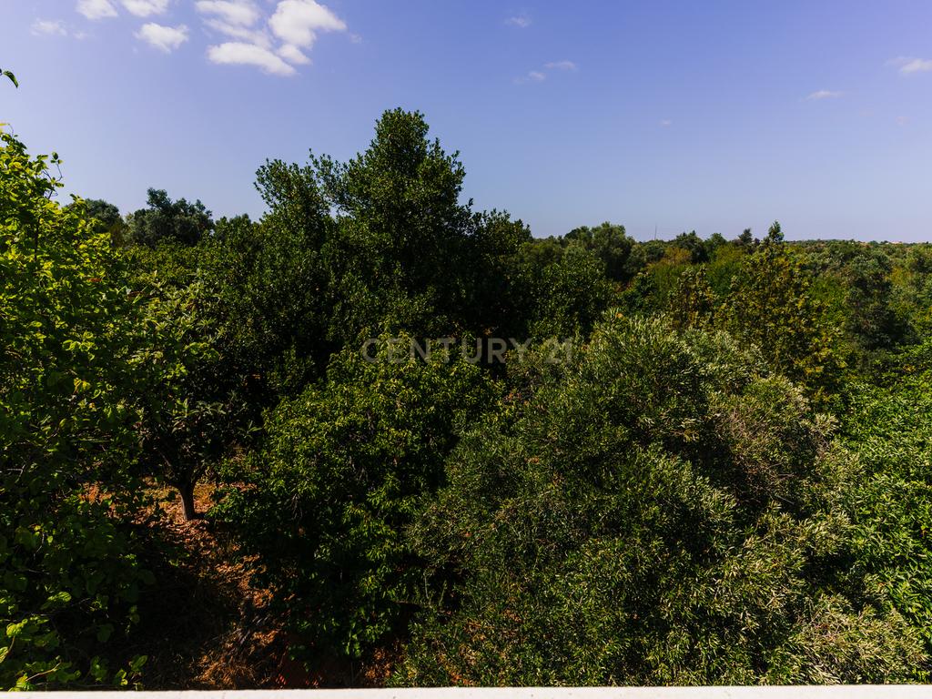 Quinta com 8660 m2 com Moradia, piscina e dois terraços panorâmicos em Silves - Image 24