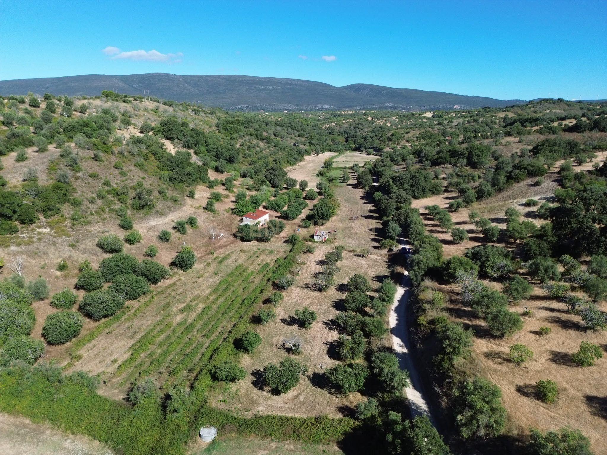 Fotografia 3 de Terreno Rústico com 29.880 m² nas Lapas, Torres Novas