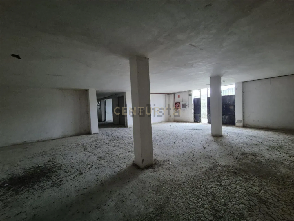 - Image 4