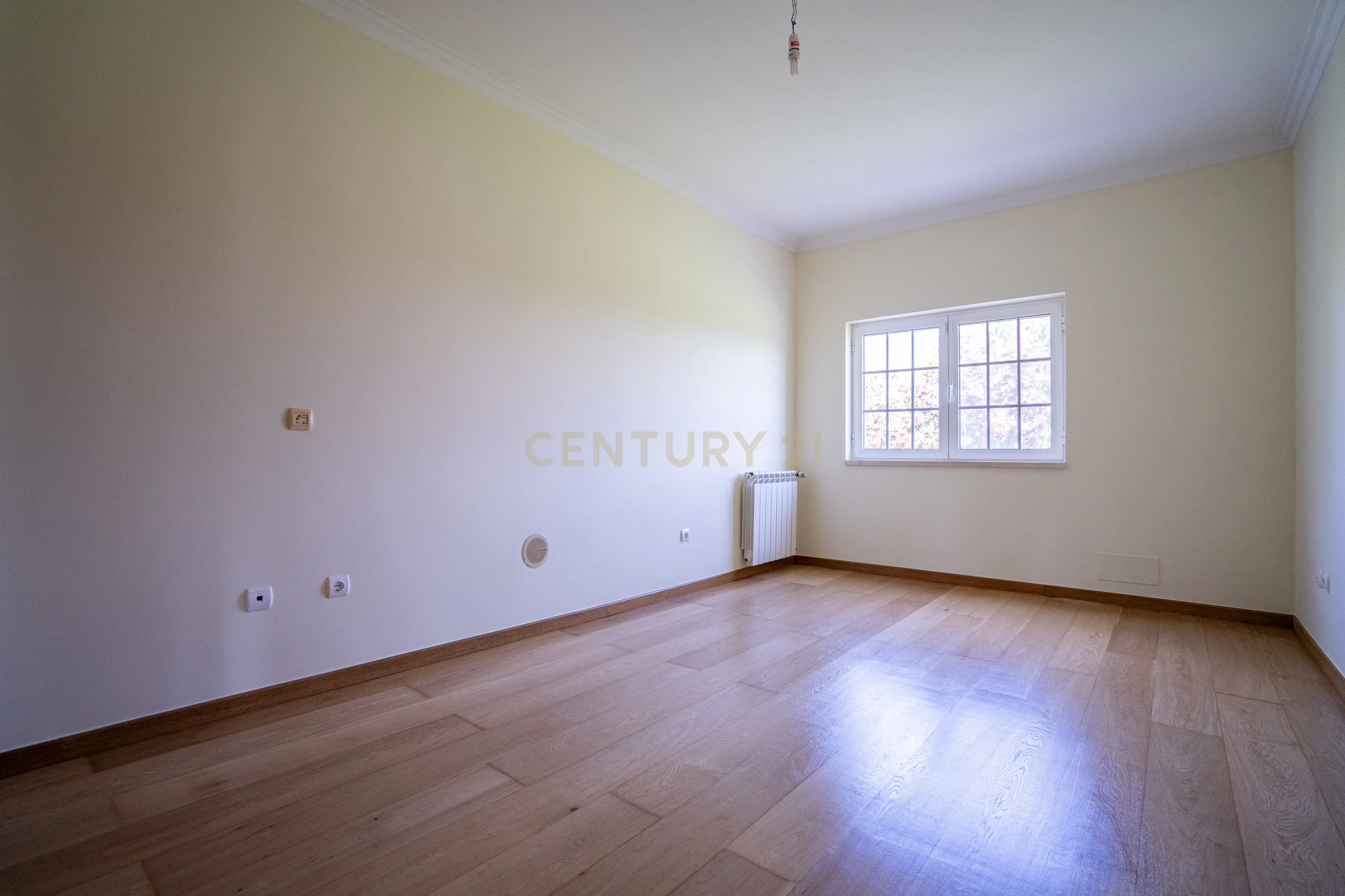 Moradia Térrea T4 na Moita com 3470m2 de Terreno - Image 11
