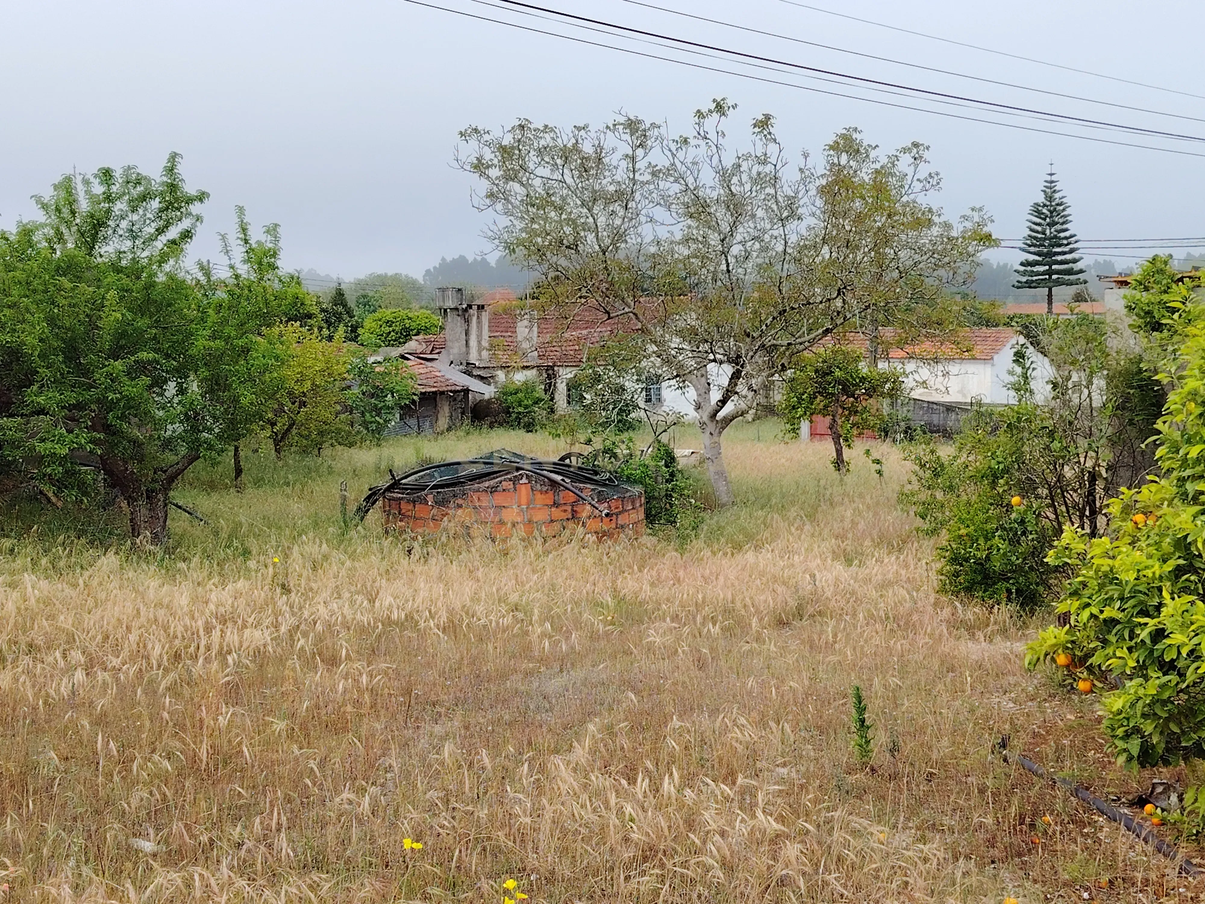 Fotografia 9 de Lote com Viabilidade de Construção — Total 402 m²