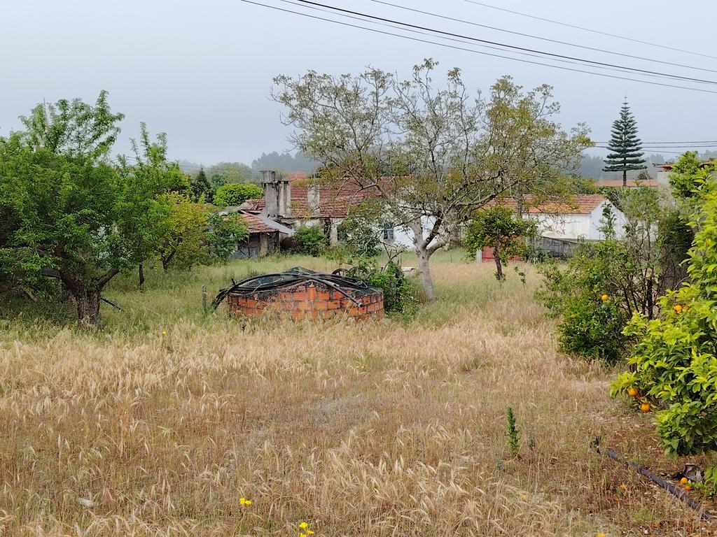 Lote com Viabilidade de Construção — Total 451 m² - Image 9