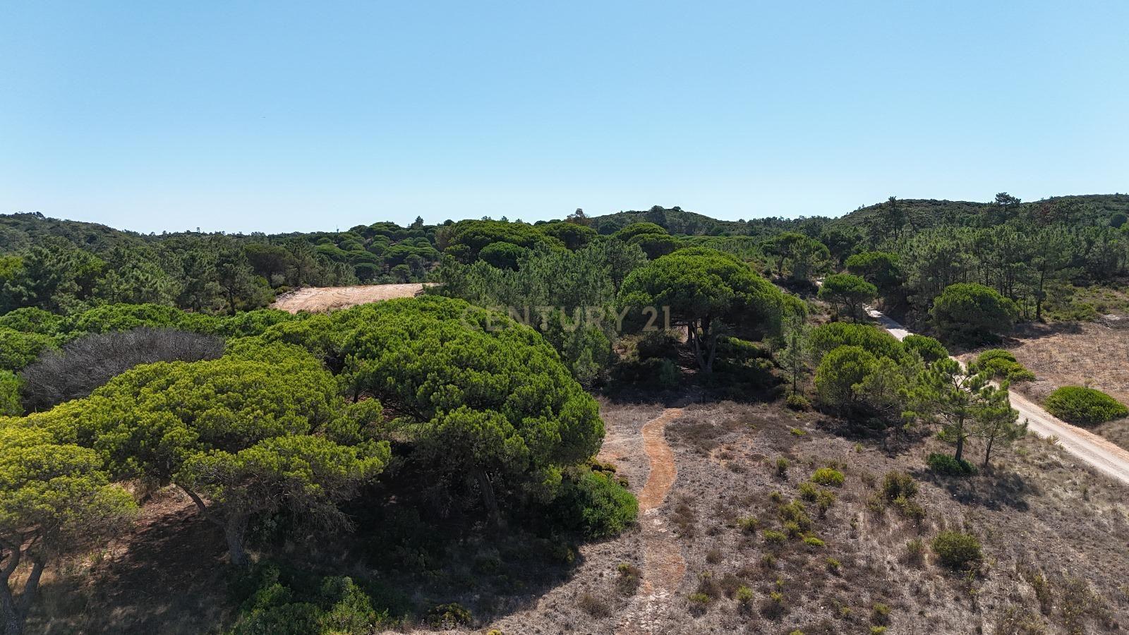 Fotografia 4 de Terreno com área de 10.000m2 com projeto aprovado perto da Aldeia do Meco