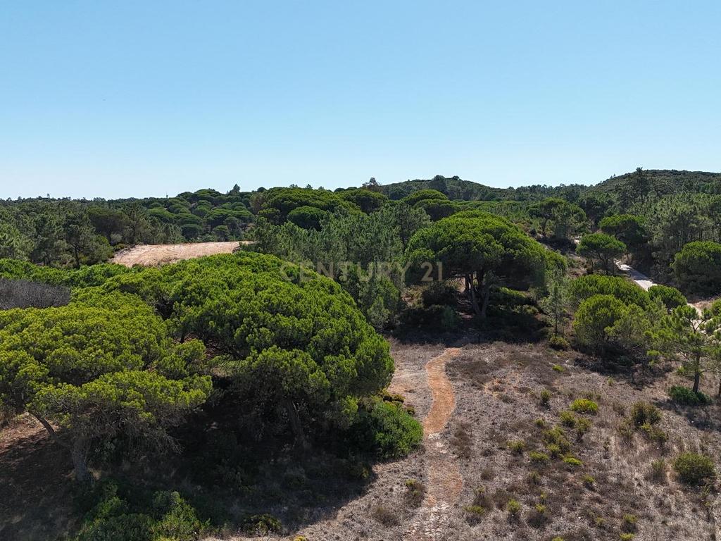 Terreno com área de 10.000m2 com projeto aprovado perto da Aldeia do Meco - Image 4