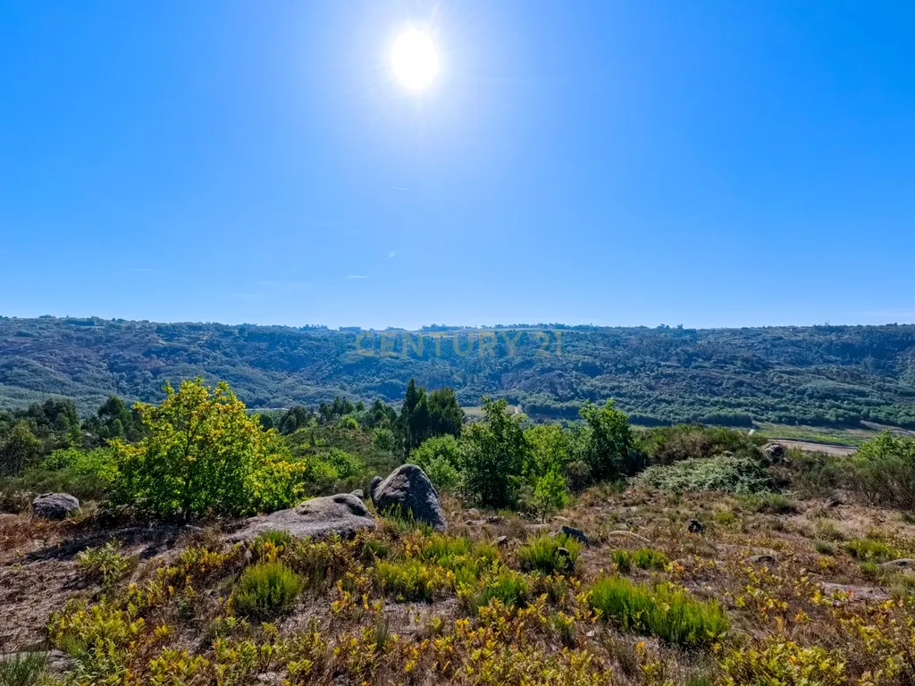O Seu Refúgio de Luxo em Silgueiros: Elegância,Sustentabilidade e Uma Vista Inigualável - Image 22