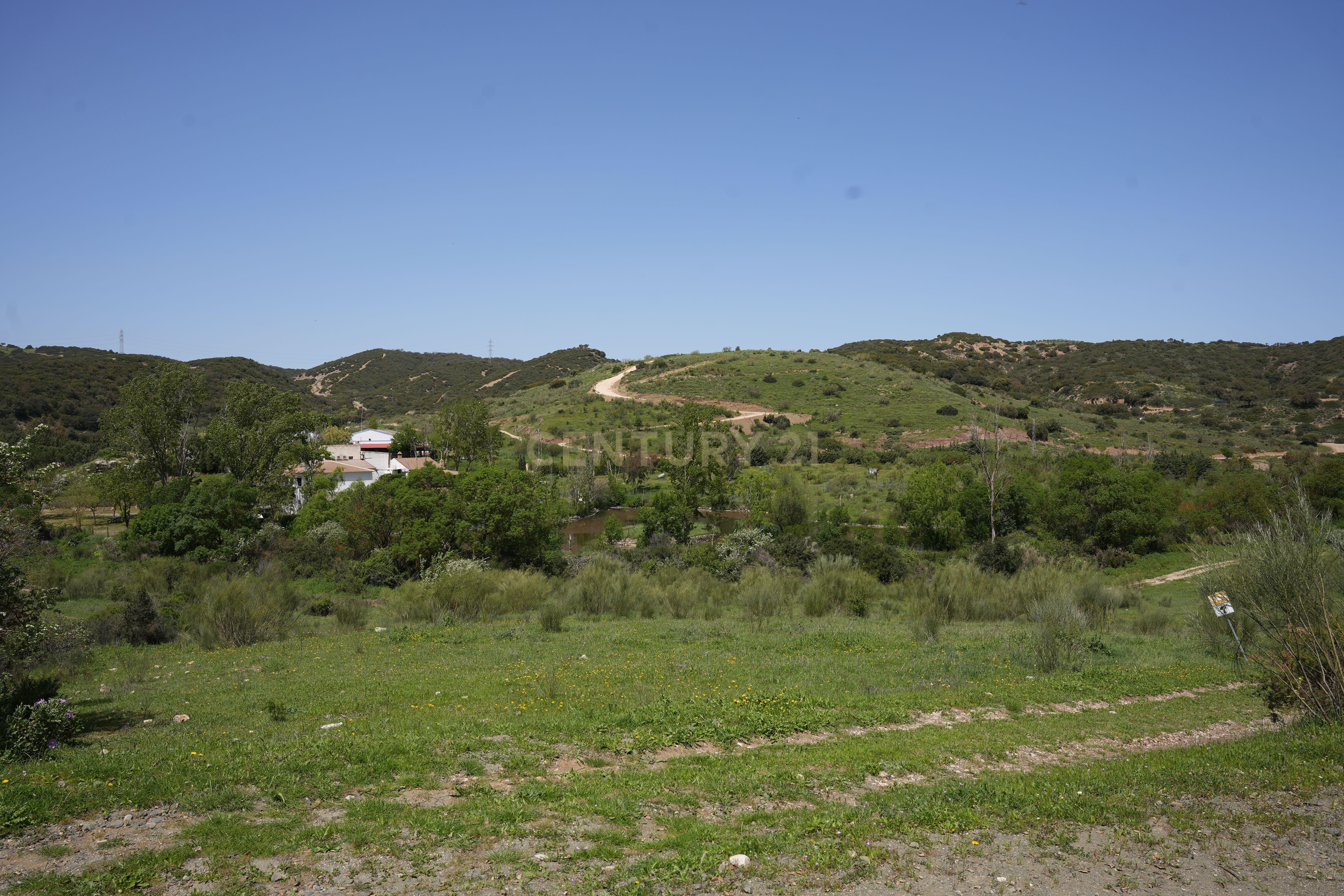 VENDA DE PROPRIEDADE RÚSTICA EM ANTEQUERA COM EXPLORAÇÃO DE AGROTURISMO - Image 86