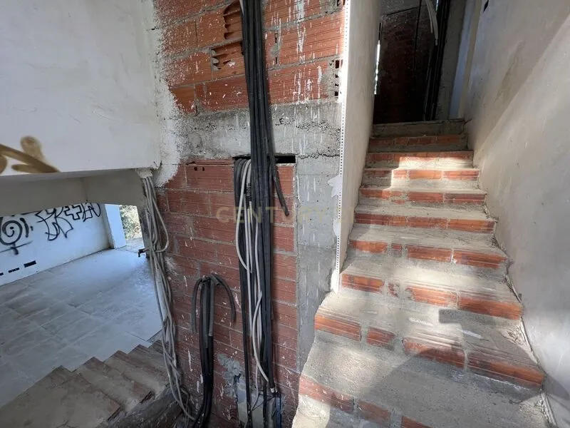 - Image 15