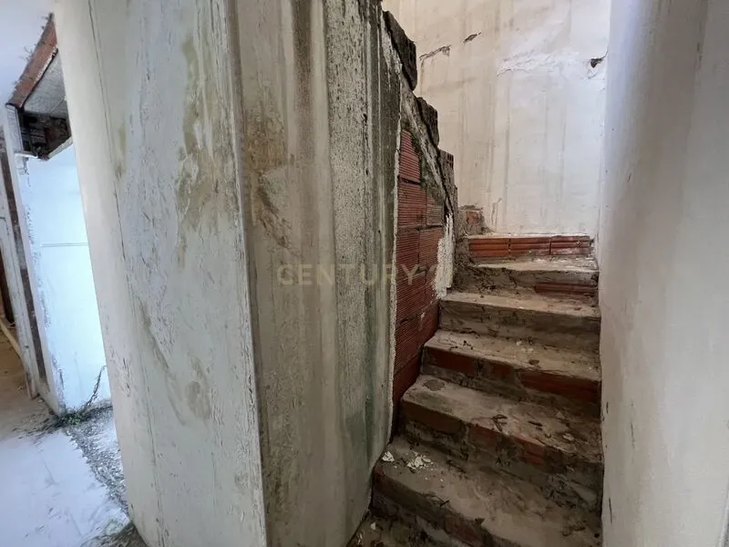 - Image 14
