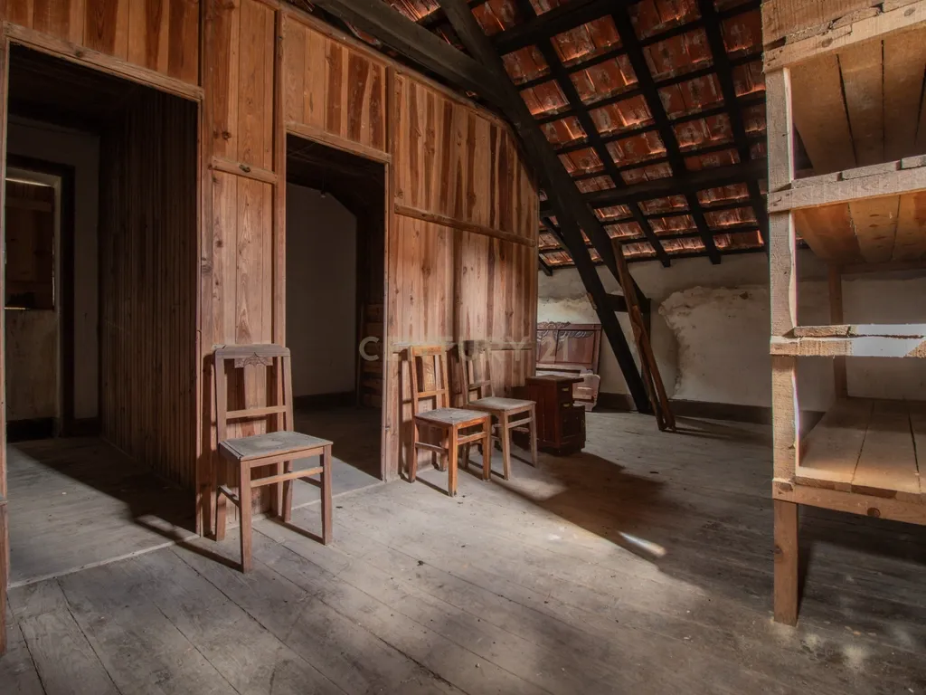 Casa antiga para recuperar com terreno e árvores de fruto, Alhadas, Figueira da Foz. - Image 16