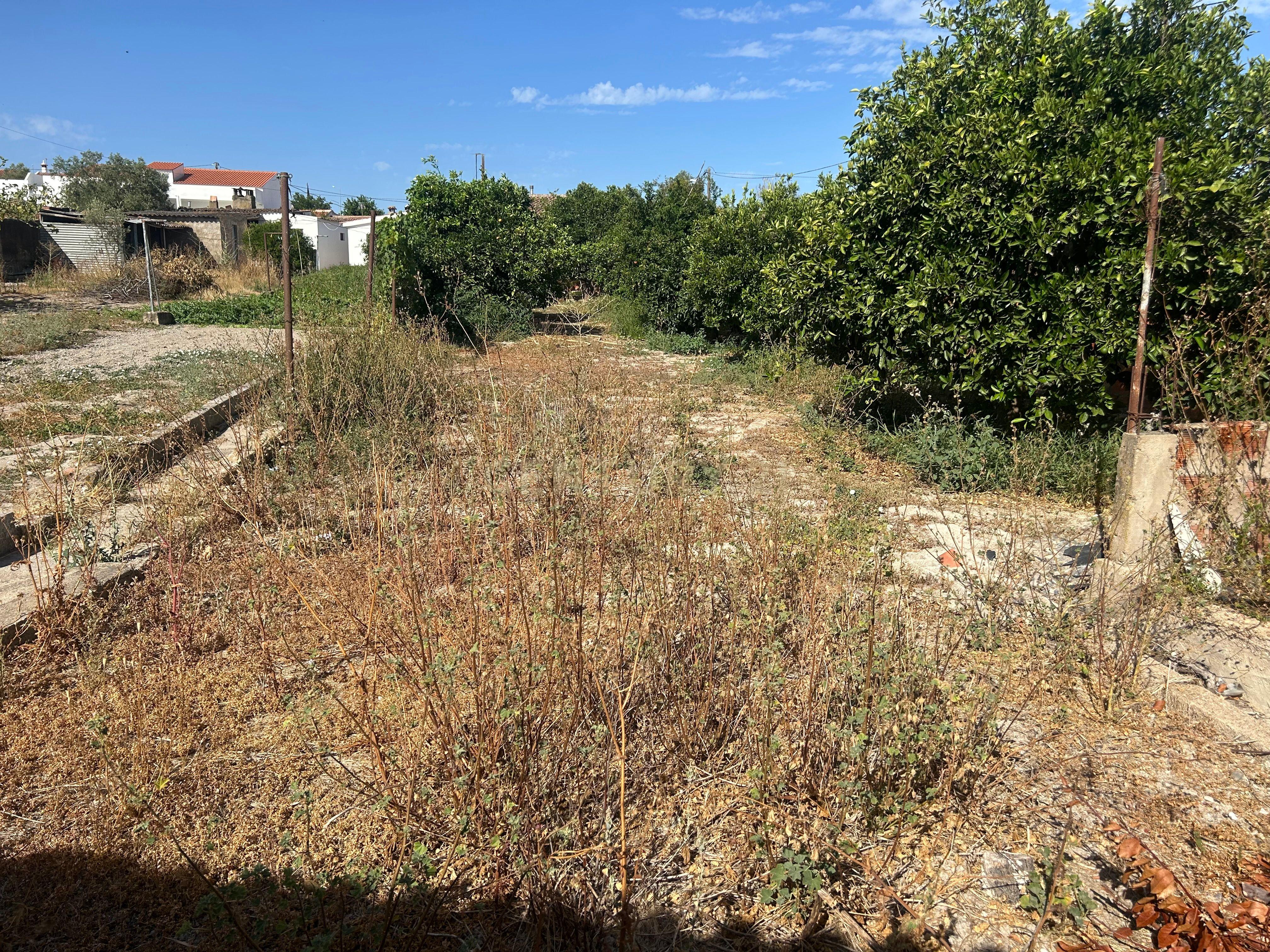 Fotografia 3 de Terreno Urbano Murado com Furo de Água e Eletricidade – Casével, Castro Verde