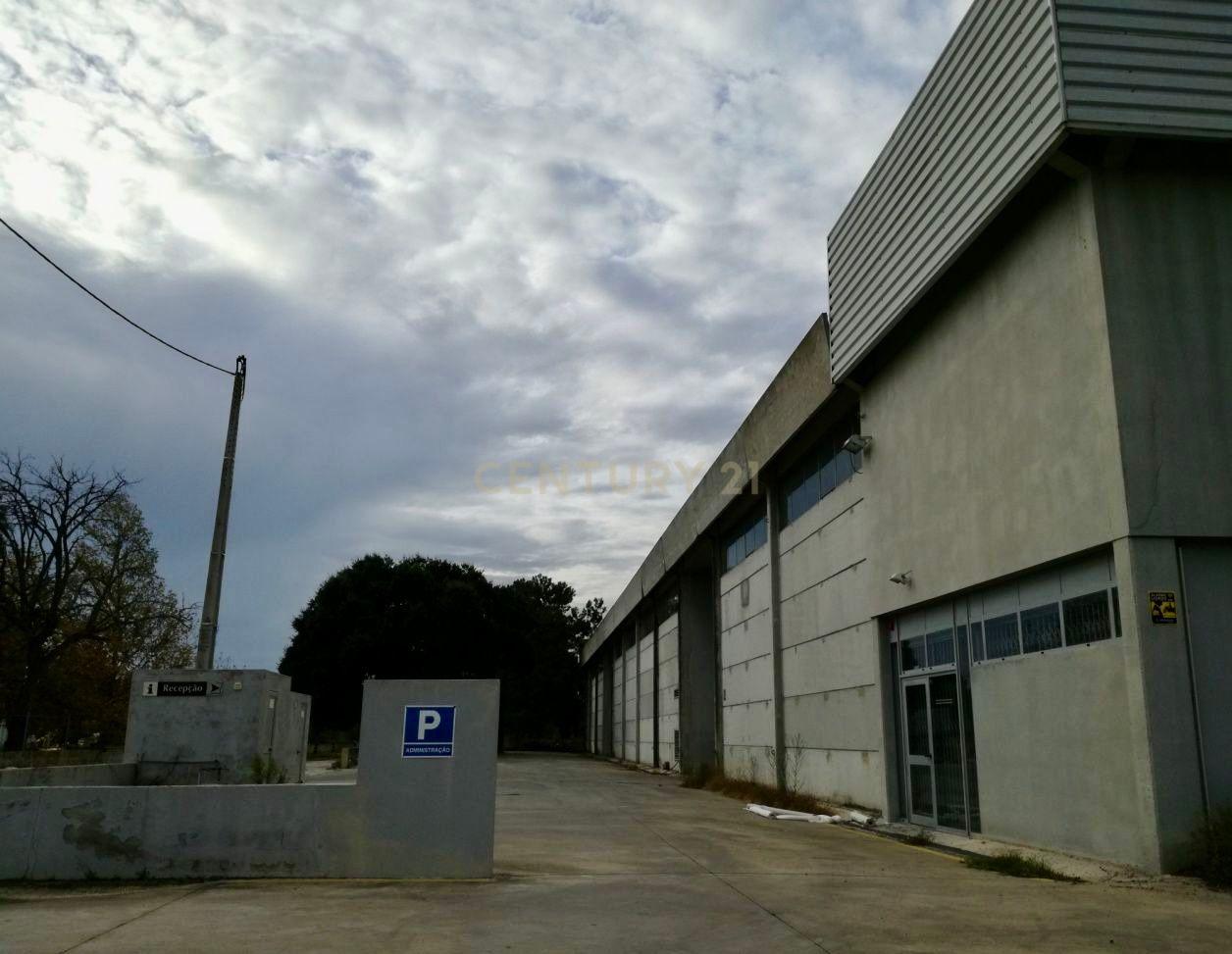 Armazém Industrial com 2.000 m² implantado em terreno de 16.188 m² – Quinta do Anjo - Image 2