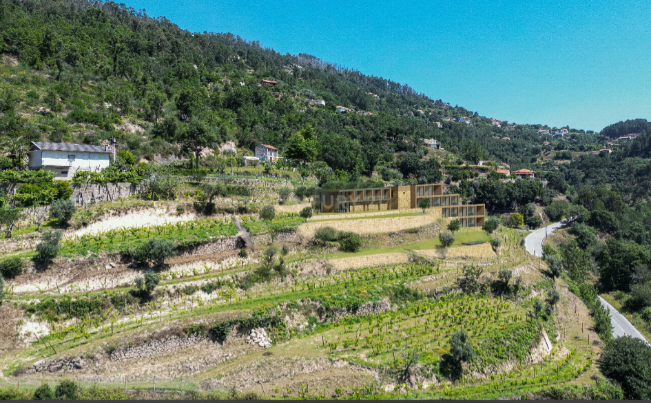 Quinta com Vista Deslumbrante sobre o Rio Douro – Projeto Aprovado para Hotel Rural | Paços de Gaiolo - Image 25
