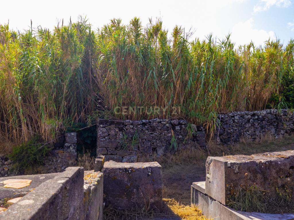 Casa para Recuperação em São Mateus, Santa Cruz da Graciosa - Image 14