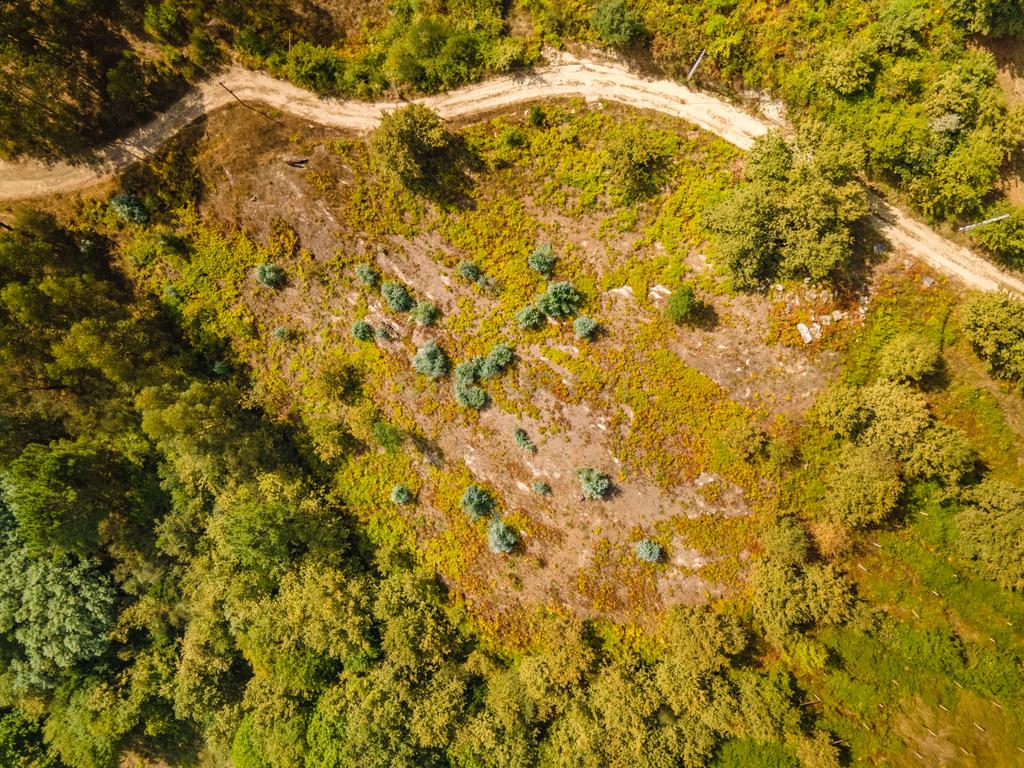 Terreno com vista Rio em Paços de Gaiolo, Marco de Canaveses - Image 7