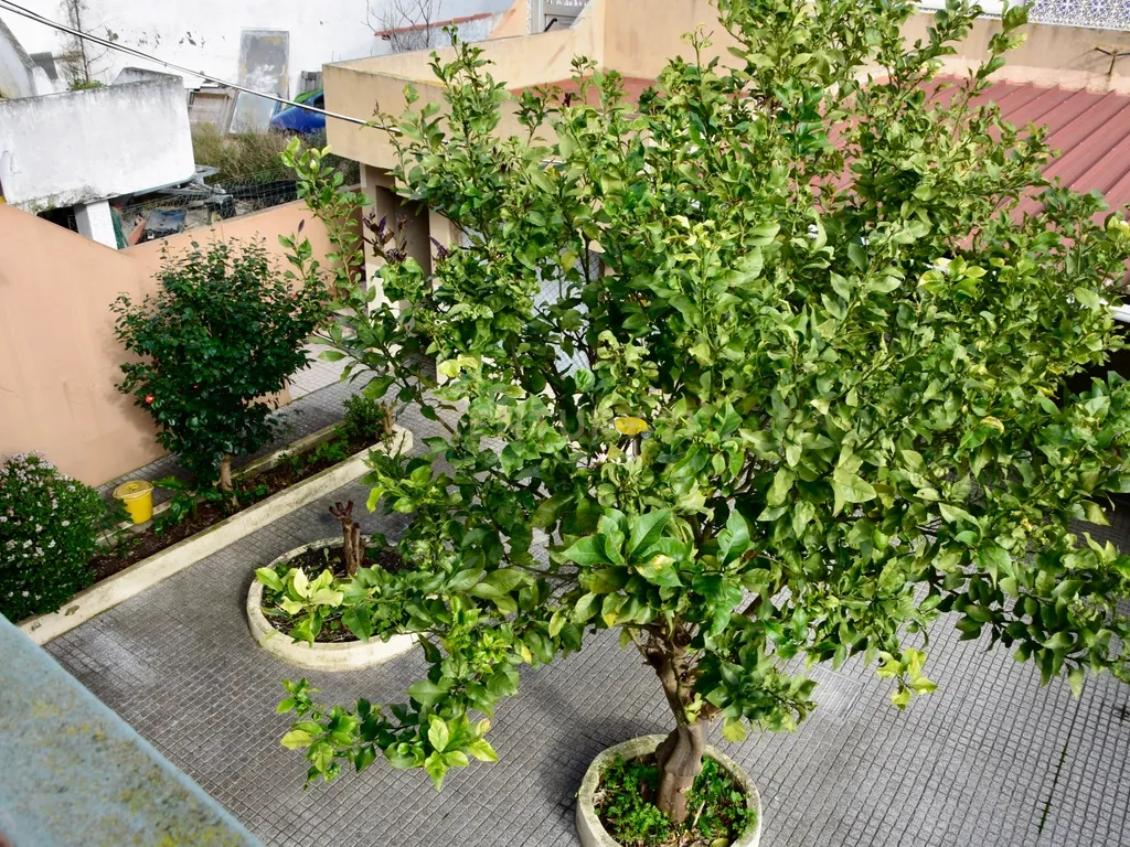 Espetacular Moradia T10 com Terraço e Vista em Setúbal - Image 18