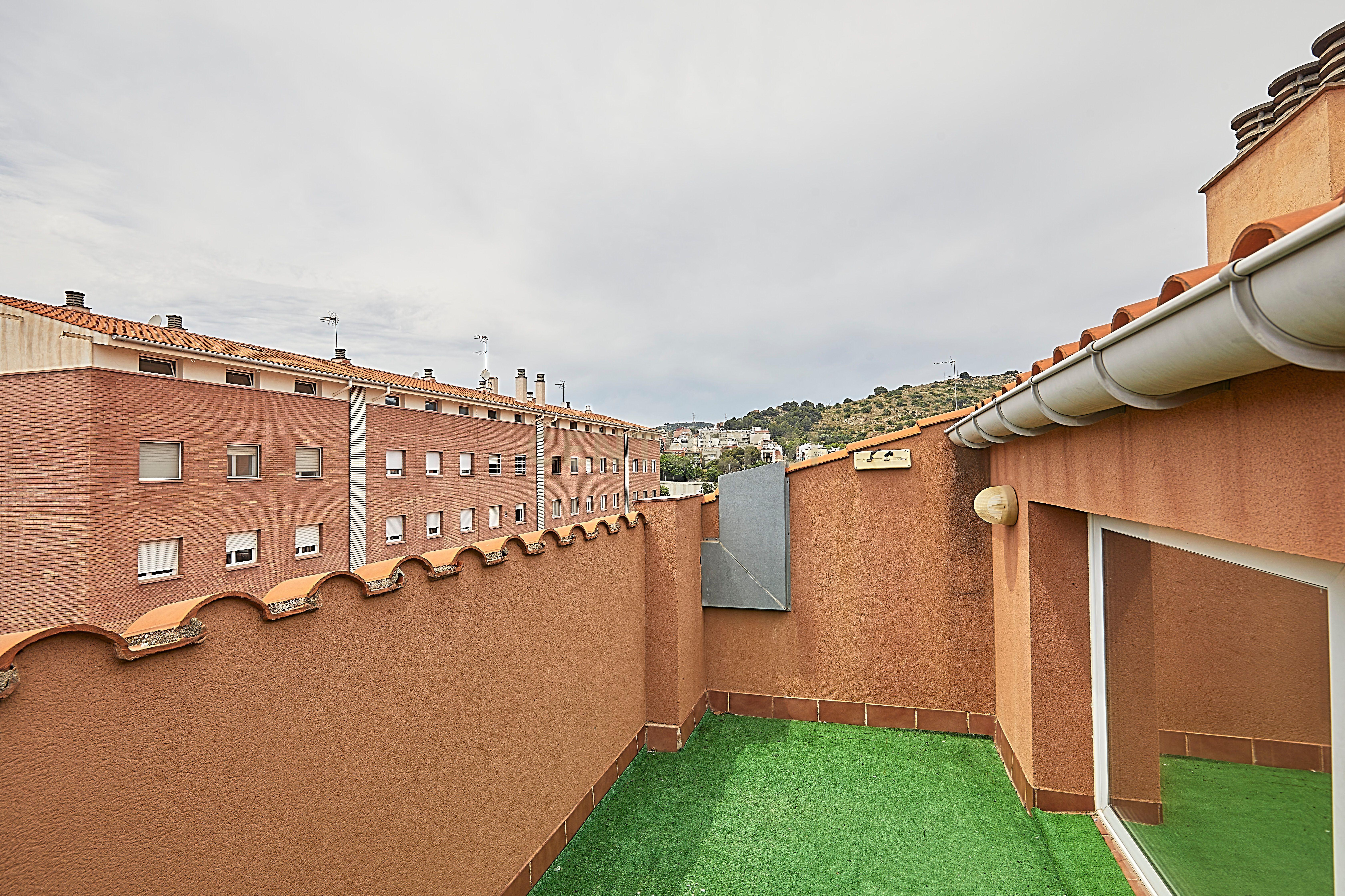 - Image 12