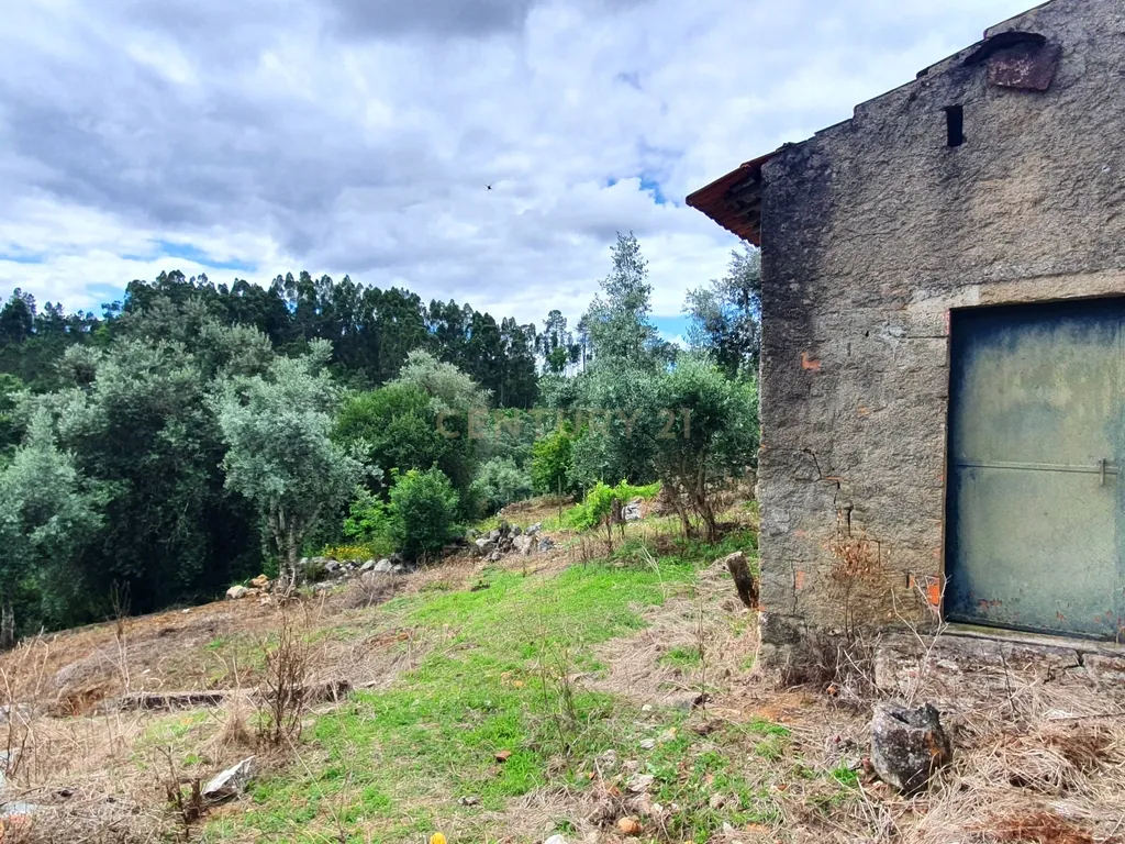 Moradia c/ Terreno e Anexos - Image 28