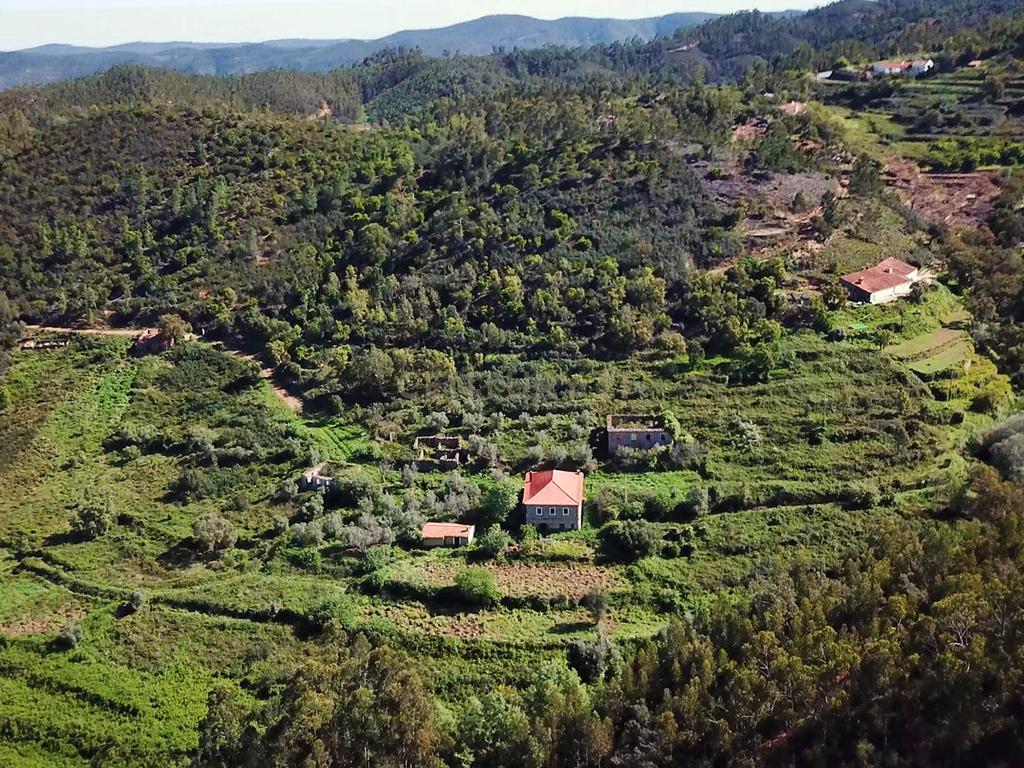 Propriedade Exclusiva com Quase 13 Hectares em Monchique, Palheiros - Image 36
