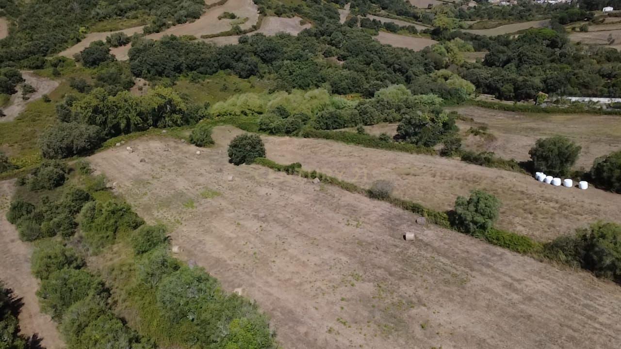Fotografia 7 de Terreno rústico em área REN