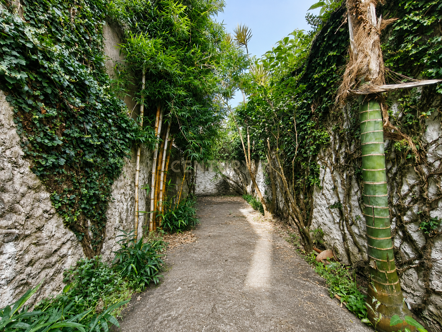 Fotografia 4 de Residência Histórica de 8 Quartos no Centro de Ponta Delgada | Jardins | Garagem para 4 Carros - S.Miguel