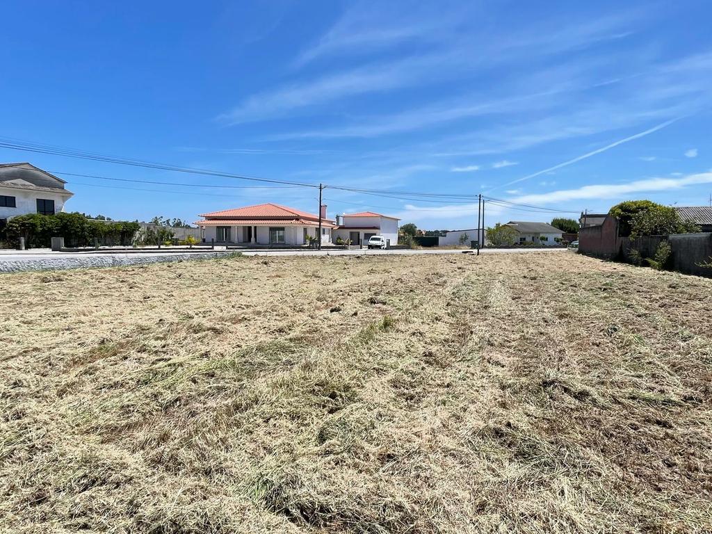Terreno  para construção -Grou-Guia-Pombal - Image 2