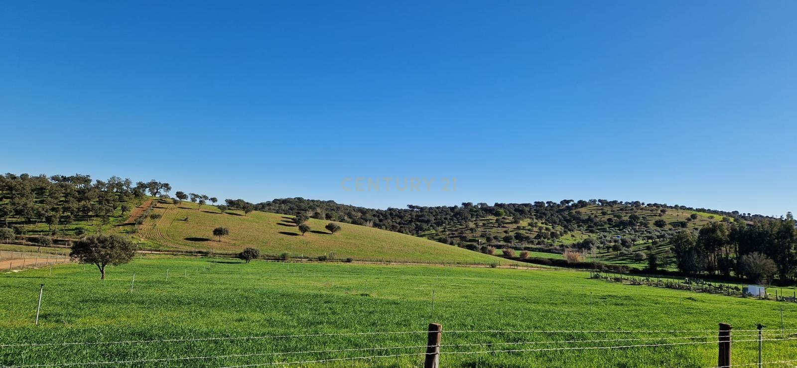 Fotografia 8 de Herdade de 62 Hectares no Coração do Alentejo – Évora  - Agricultura - Pecuária - Turismo Rural - Painéis Solares