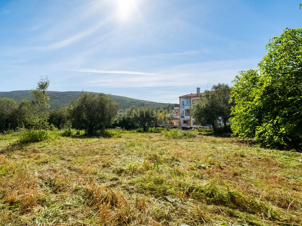 Moradia Térrea com Excelente Potencial 2.116 m2 de terreno Localização Priviligiada - Image 23
