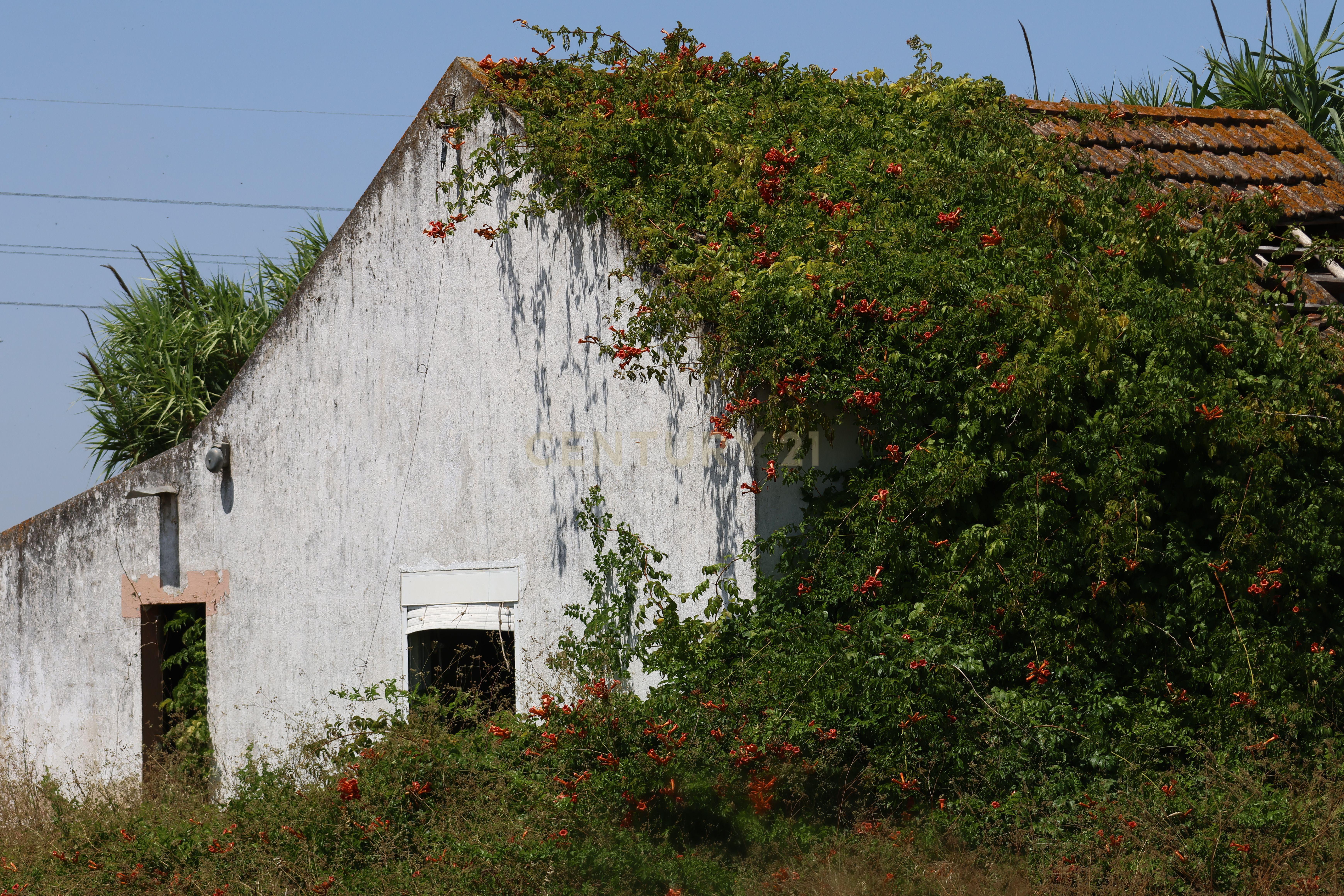 Fotografia 5 de Terreno com casa para recuperação