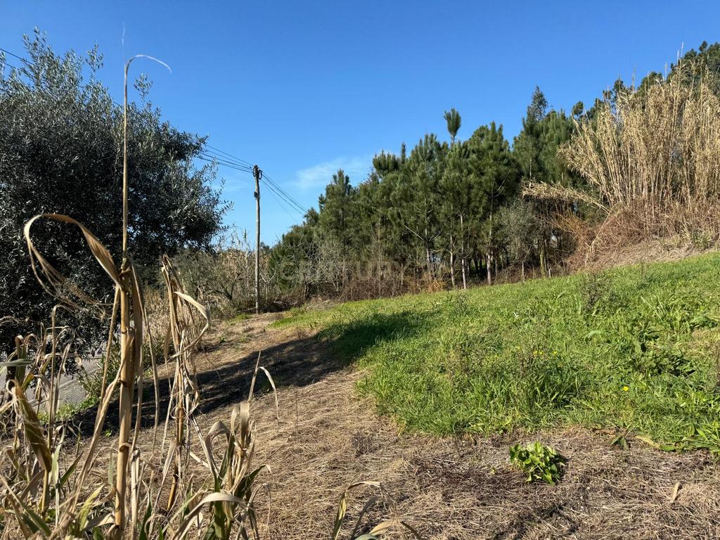 Terreno Panorâmico em Pombal - 1020m² por 34.500€ - Image 16