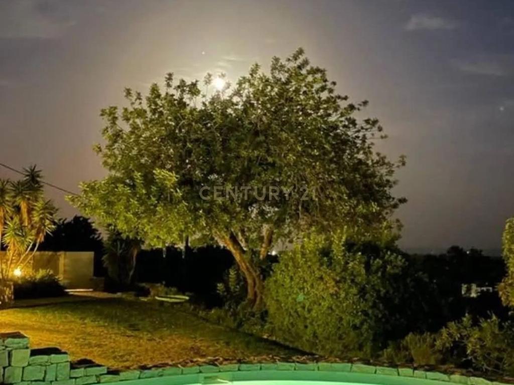 MORADIA TÉRREA T3 DE LUXO – ARQUITETURA CONTEMPORÂNEA EM PEDRA, A 8 MINUTOS DE TAVIRA - Image 42
