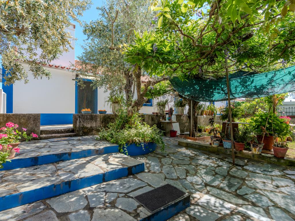 Quinta T3+3 com 4 HA em Borba – Natureza, Produção Agrícola e Conforto - Image 9
