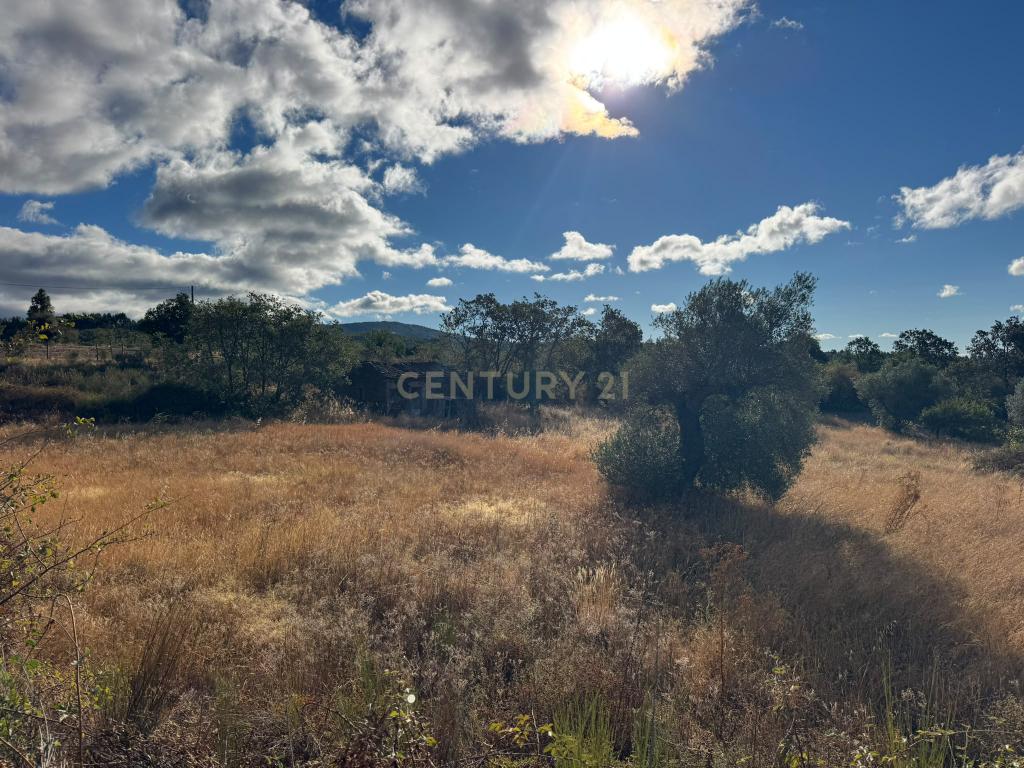 Terreno Rústico, com construção rural em Penamacor, Castelo Branco - Image 10